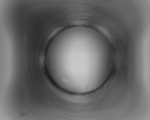 X0000113890016200910011332