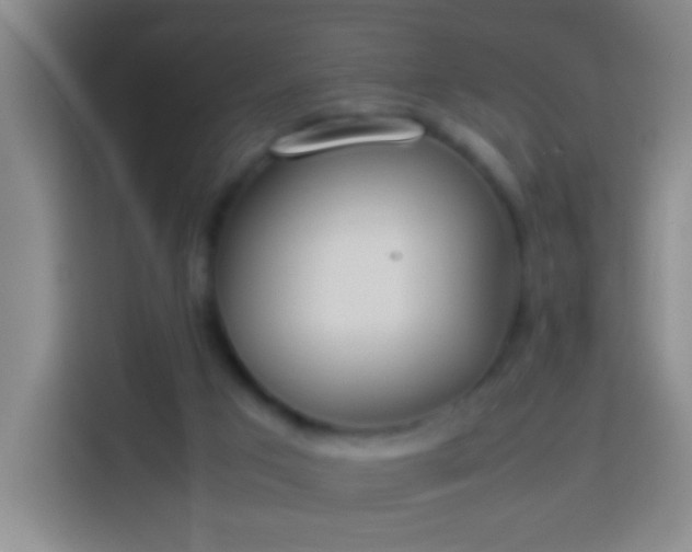 X0000113890017200910011332