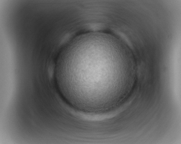 X0000113890018200910011332