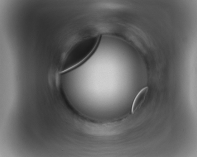 X0000113890019200910011332