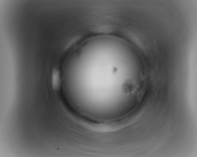 X0000113890020200910011331