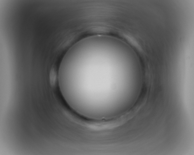 X0000113890021200910011331