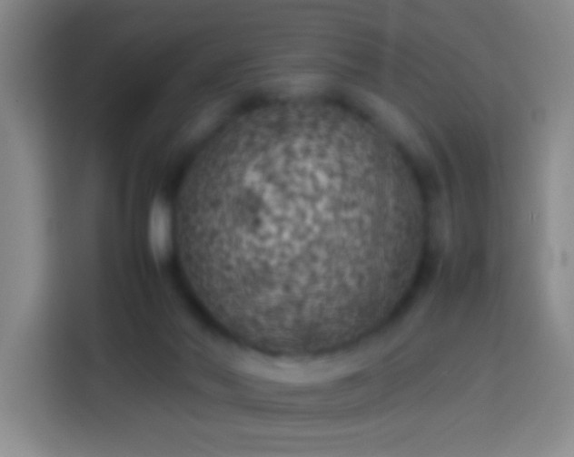 X0000113890022200910011331