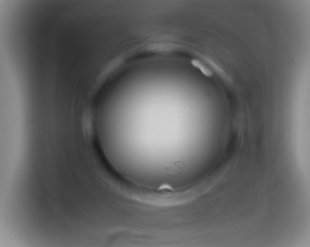 X0000113890023200910011331