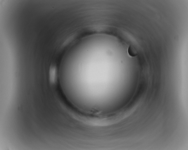 X0000113890024200910011331