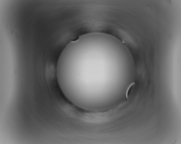 X0000113890025200910011331