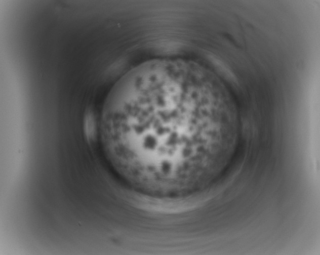 X0000113890026200910011331