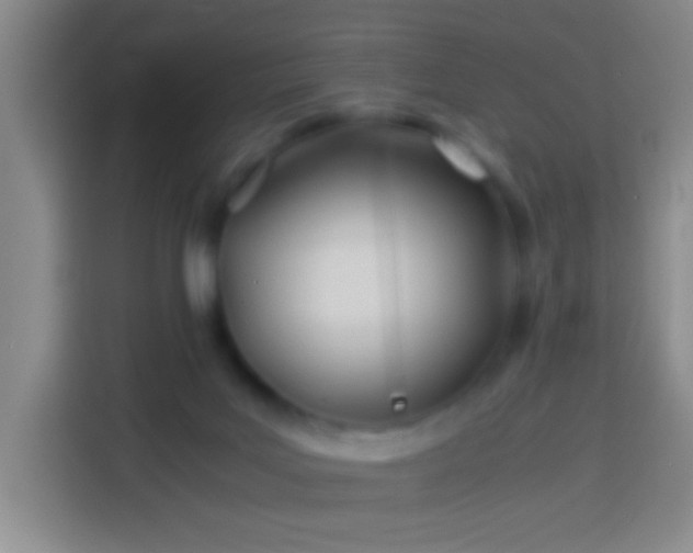 X0000113890027200910011331