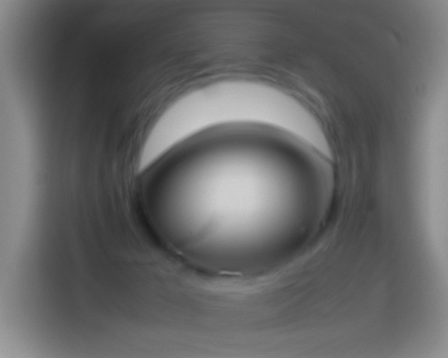 X0000113890029200910011331