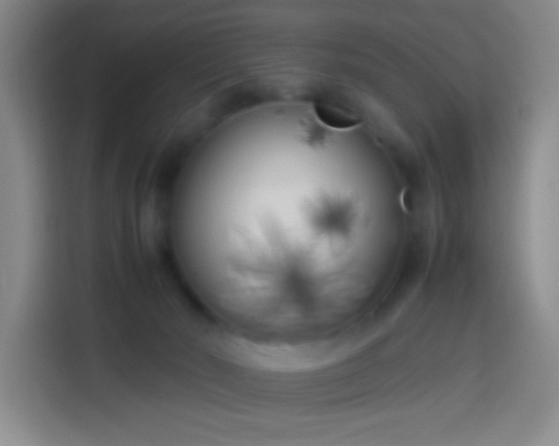 X0000113890030200910011331