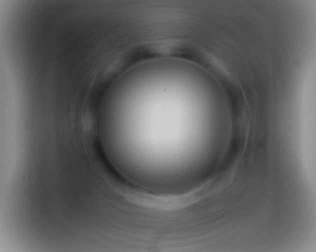 X0000113890031200910011331