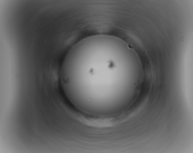 X0000113890032200910011331