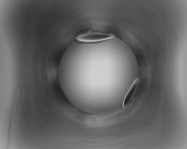 X0000113890033200910011331