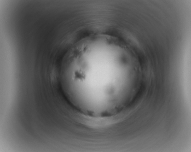 X0000113890034200910011331