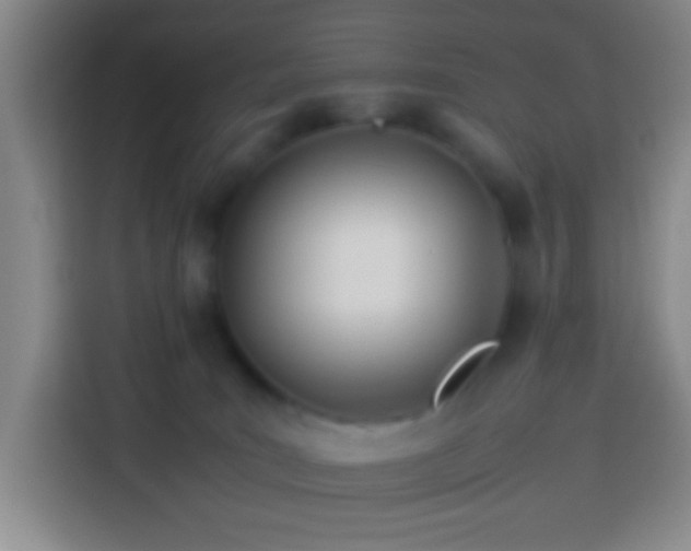 X0000113890035200910011331