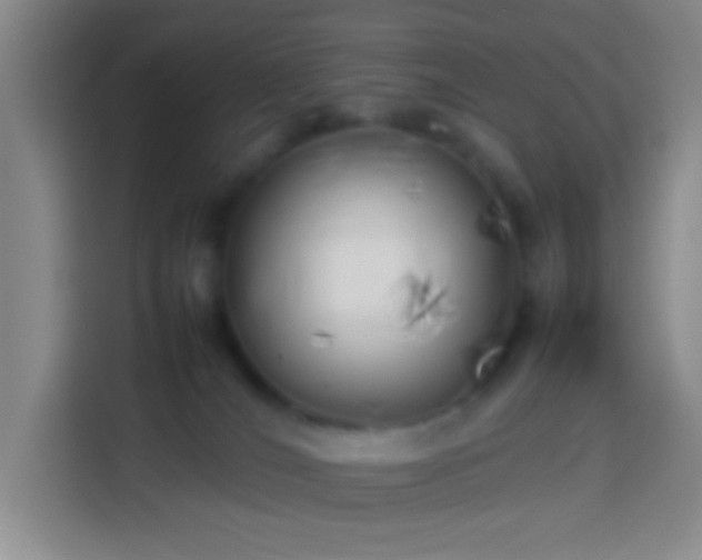 X0000113890036200910011331