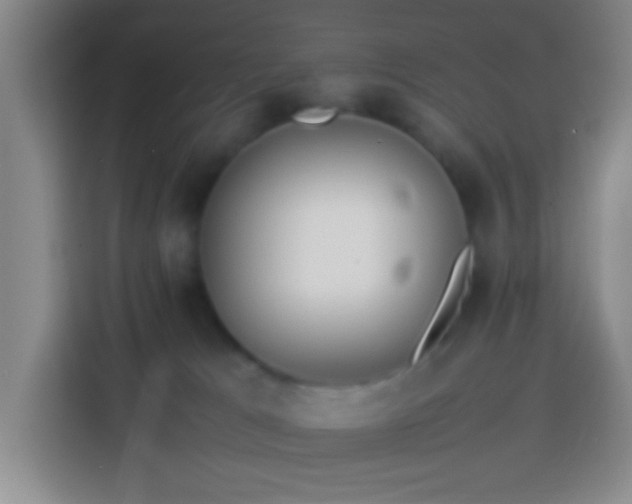 X0000113890037200910011331