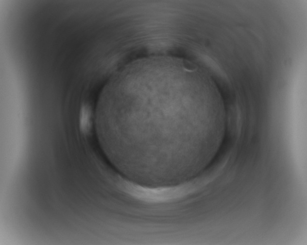 X0000113890038200910011331