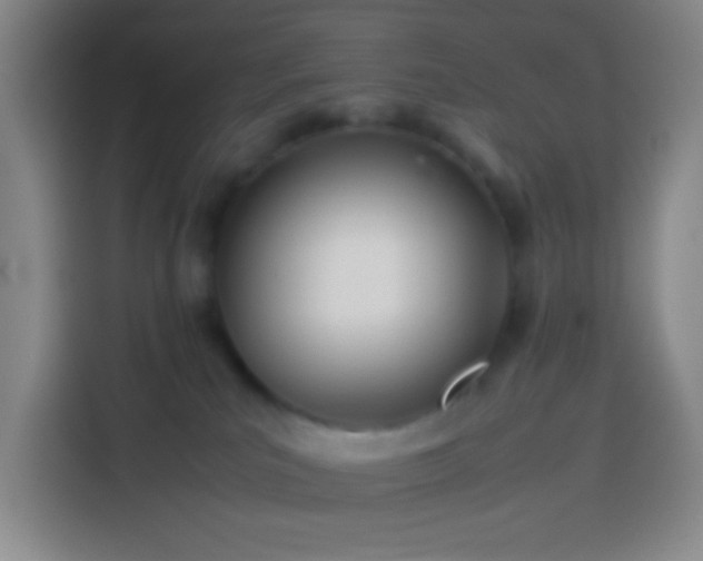 X0000113890039200910011331