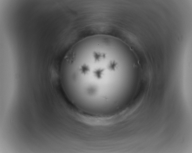 X0000113890040200910011331