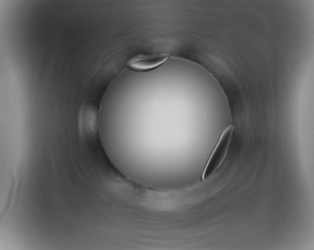 X0000113890041200910011331