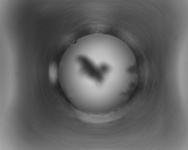 X0000113890042200910011331