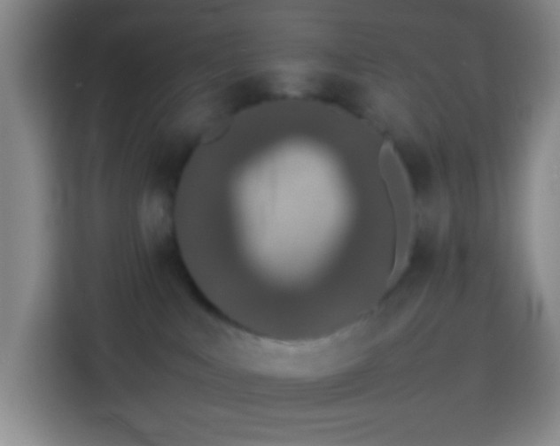 X0000113890043200910011331