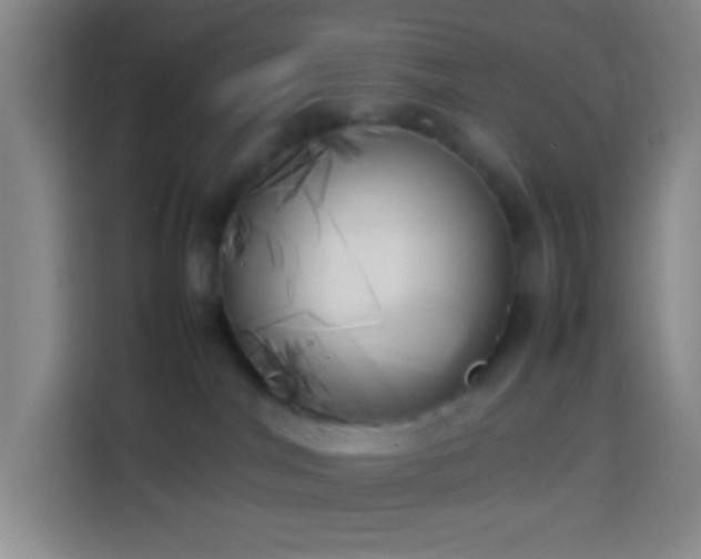 X0000113890044200910011331