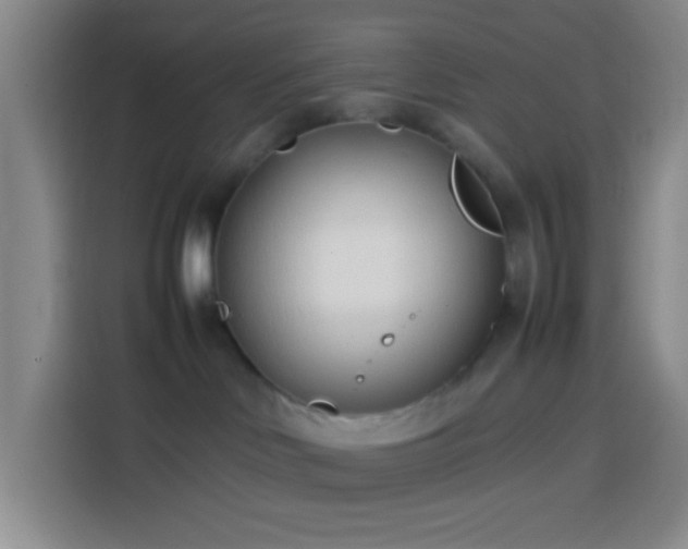 X0000113890046200910011331