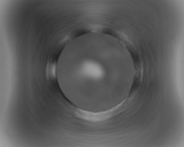 X0000113890047200910011331