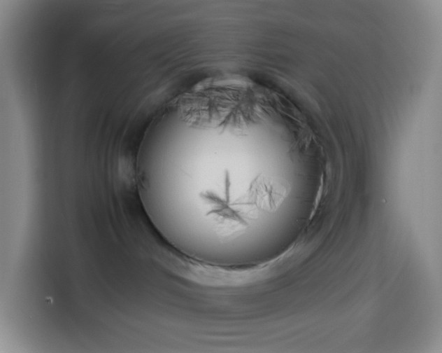 X0000113890048200910011331
