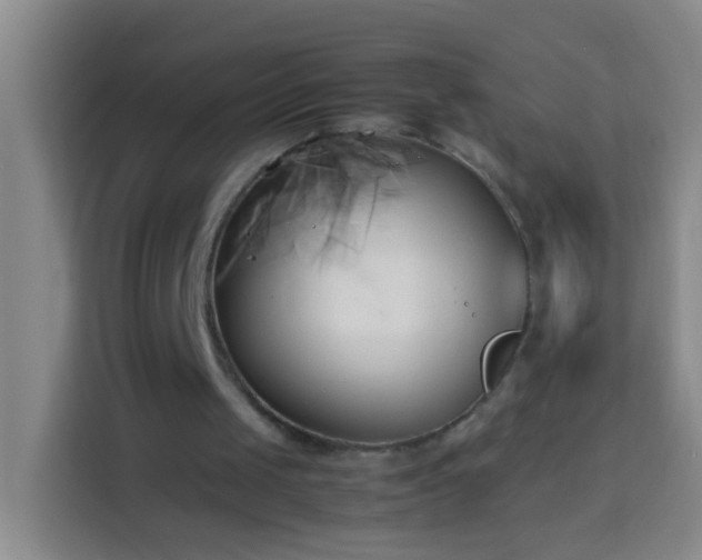 X0000113890049200910011331