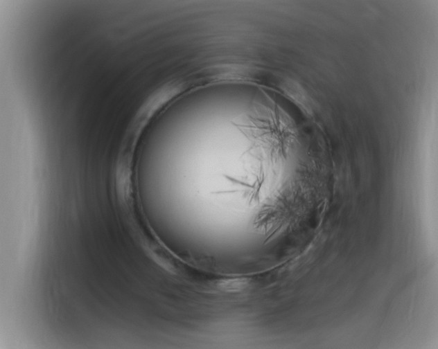 X0000113890050200910011331