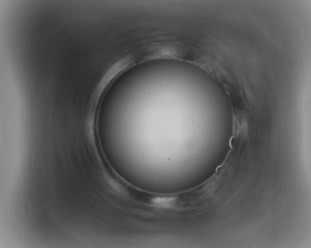 X0000113890051200910011331