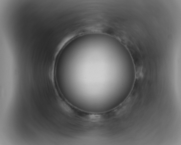 X0000113890052200910011331