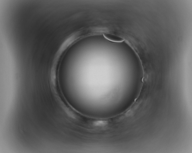 X0000113890053200910011331