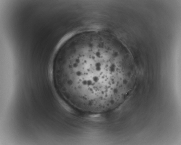 X0000113890054200910011331