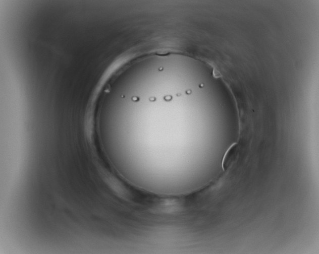 X0000113890056200910011331