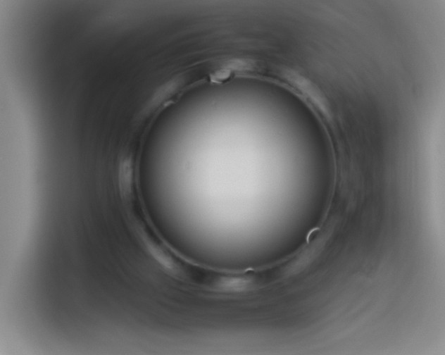 X0000113890057200910011331