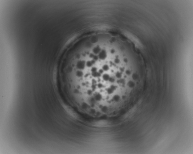 X0000113890058200910011331