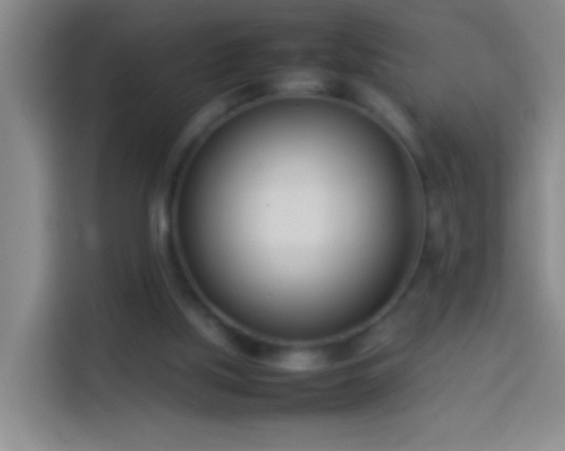 X0000113890059200910011331