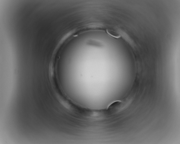 X0000113890060200910011331