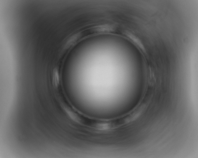 X0000113890061200910011331