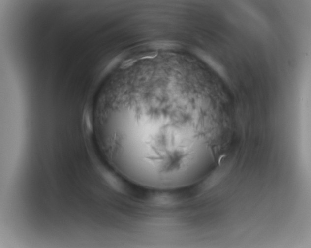 X0000113890062200910011331