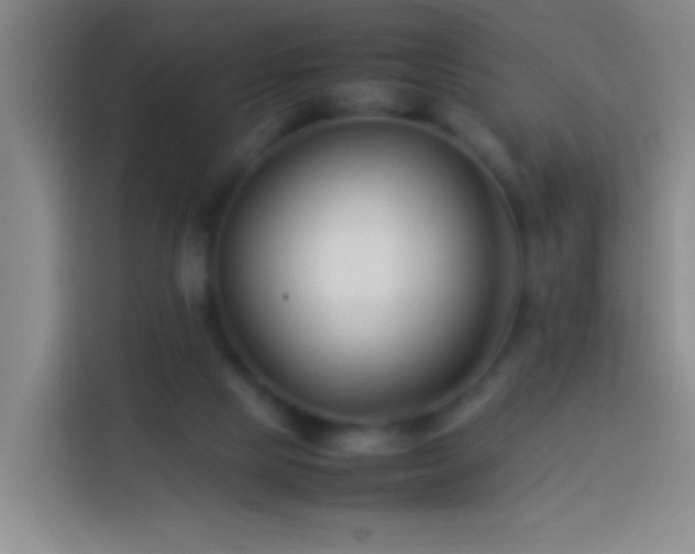 X0000113890065200910011331