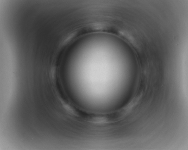 X0000113890066200910011331