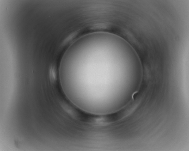 X0000113890068200910011331