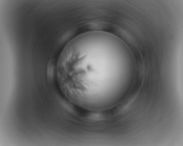 X0000113890071200910011331