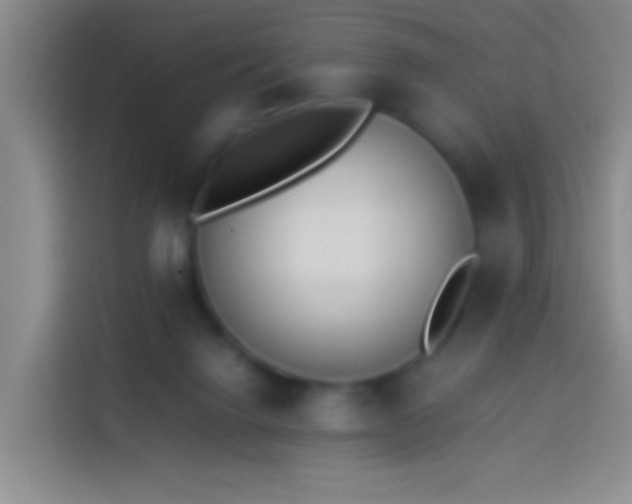 X0000113890072200910011331