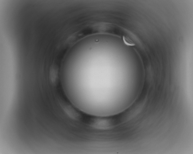 X0000113890073200910011331